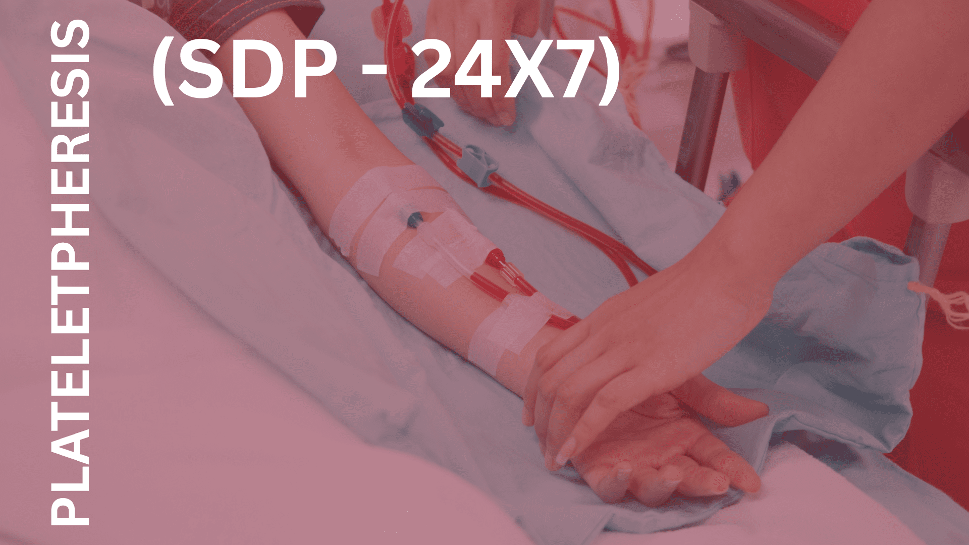 Plateletpheresis (SDP) – 24×7